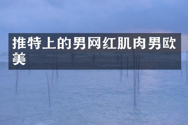 推特上的男网红肌肉男欧美