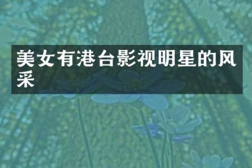 有港台影视明星的风采