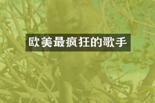 欧美最疯狂的歌手