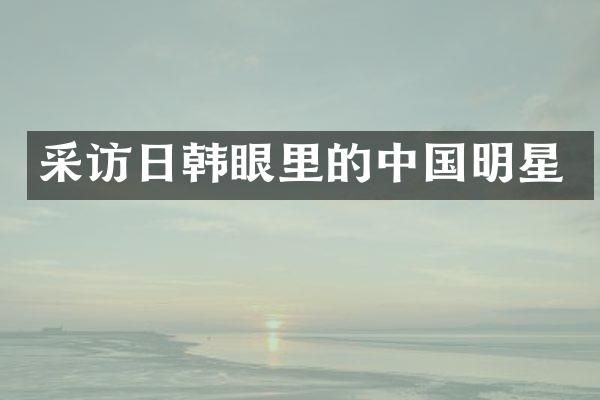 采访日韩眼里的中国明星