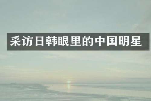 采访日韩眼里的中国明星