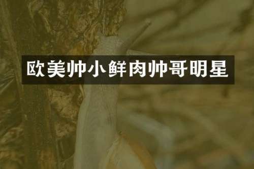 欧美帅小鲜肉帅哥明星