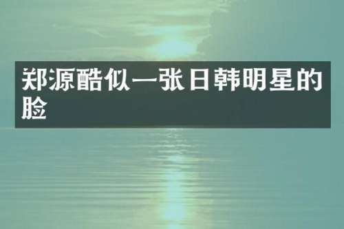 郑源酷似一张日韩明星的脸