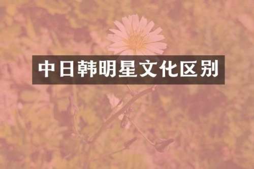 中日韩明星文化区别