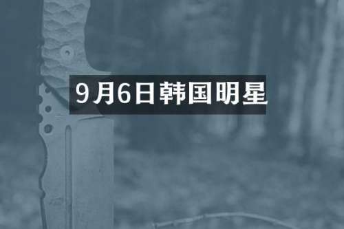 9月6日韩国明星