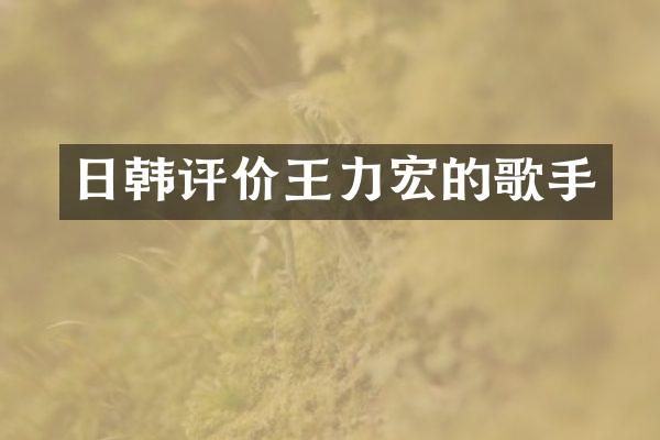 日韩评价王力宏的歌手