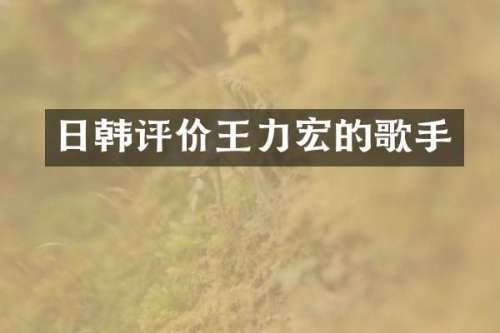 日韩评价王力宏的歌手