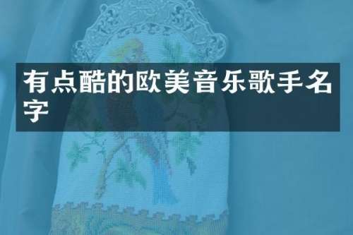 有点酷的欧美音乐歌手名字