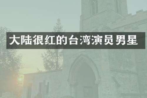 大陆很红的台湾演员男星