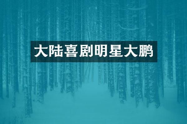 大陆喜剧明星大鹏