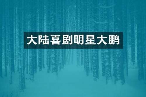 大陆喜剧明星大鹏