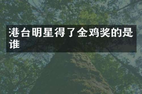 港台明星得了金鸡奖的是谁