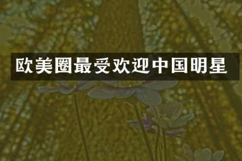 欧美圈最受欢迎中国明星