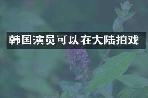 韩国演员可以在大陆拍戏