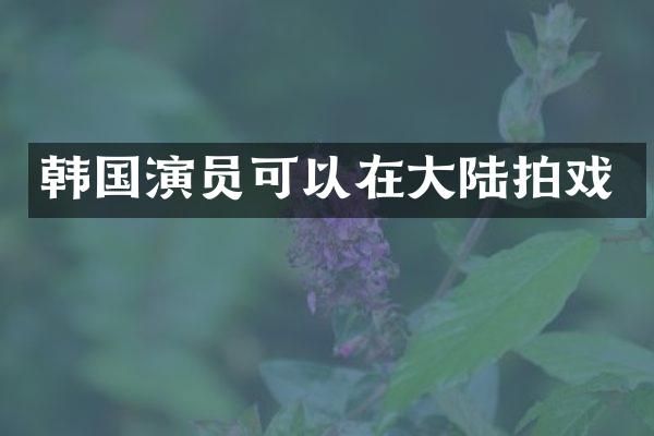 韩国演员可以在大陆拍戏