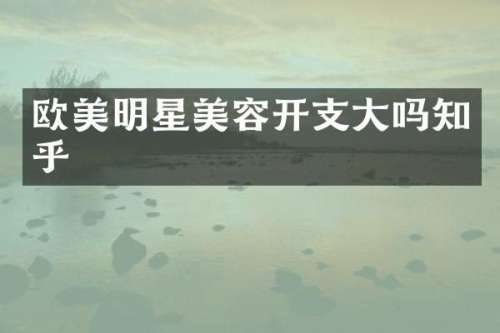 欧美明星美容开支大吗知乎