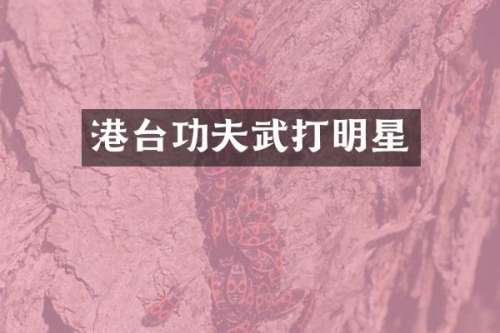 港台功夫武打明星