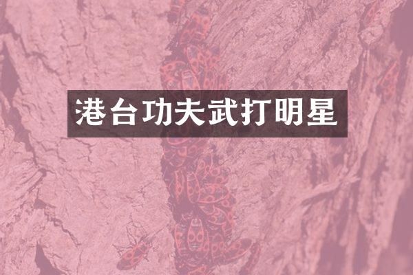 港台功夫武打明星