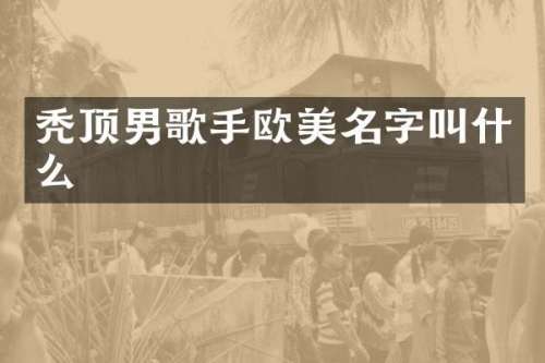 秃顶男歌手欧美名字叫什么