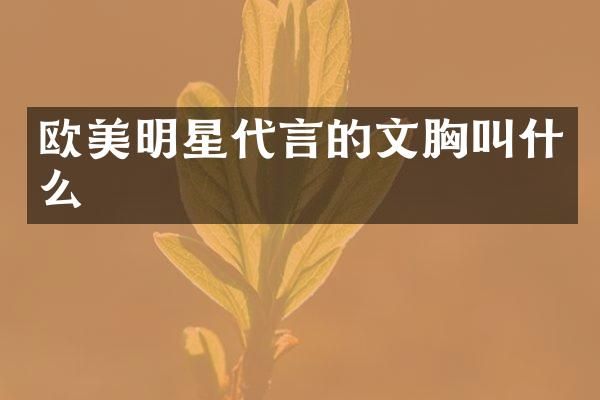 欧美明星代言的文叫什么