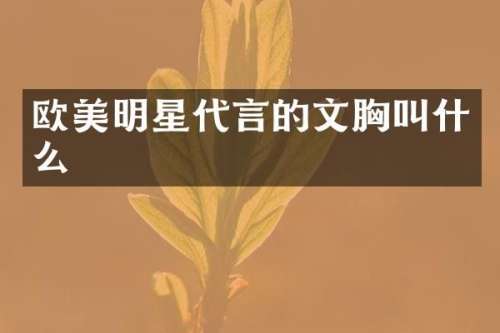 欧美明星代言的文叫什么