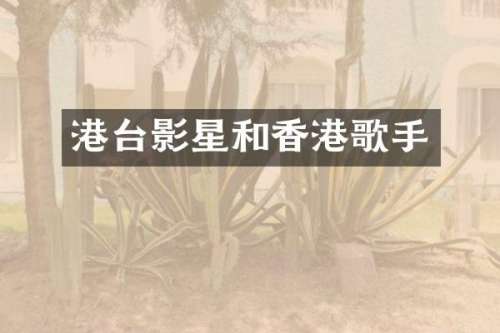 港台影星和香港歌手