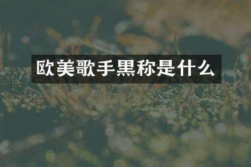 欧美歌手黑称是什么