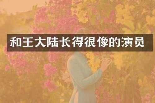和王大陆长得很像的演员