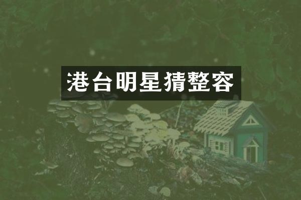 港台明星猜整容