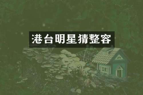 港台明星猜整容