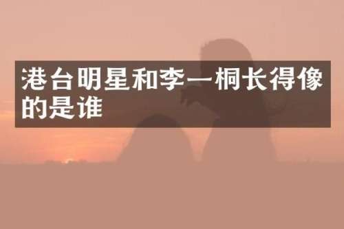 港台明星和李一桐长得像的是谁