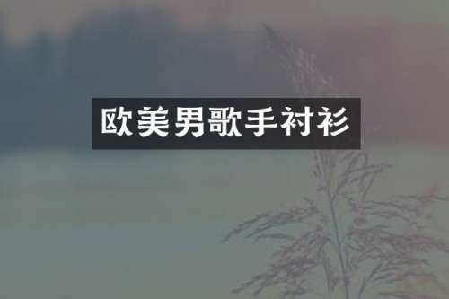 欧美男歌手衬衫