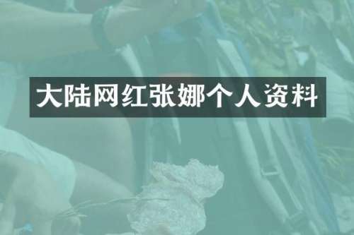 大陆网红张娜个人资料