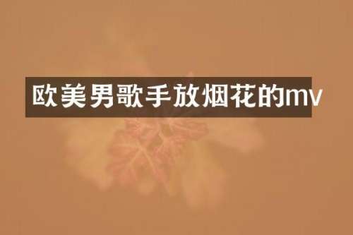 欧美男歌手放的mv