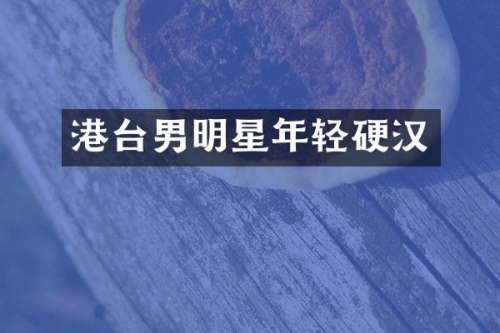港台男明星年轻硬汉