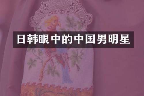 日韩眼中的中国男明星