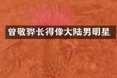 曾敬骅长得像大陆男明星