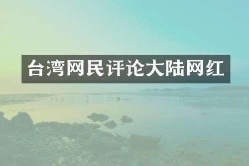 台湾网民评论大陆网红