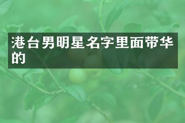 港台男明星名字里面带华的