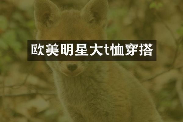 欧美明星大t恤穿搭