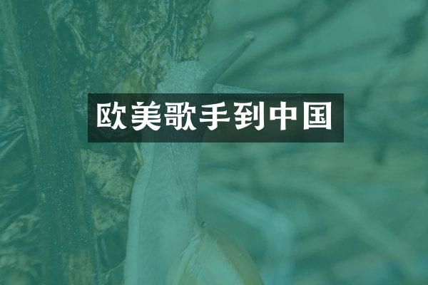 欧美歌手到中国