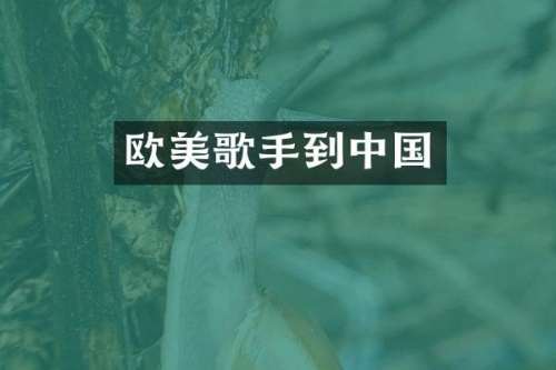 欧美歌手到中国