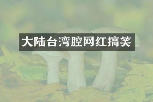 大陆台湾腔网红搞笑