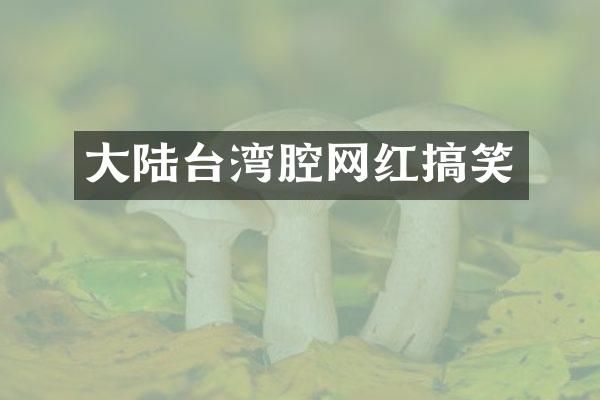 大陆台湾腔网红搞笑