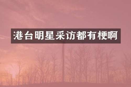 港台明星采访都啊
