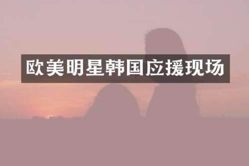 欧美明星韩国应援现场