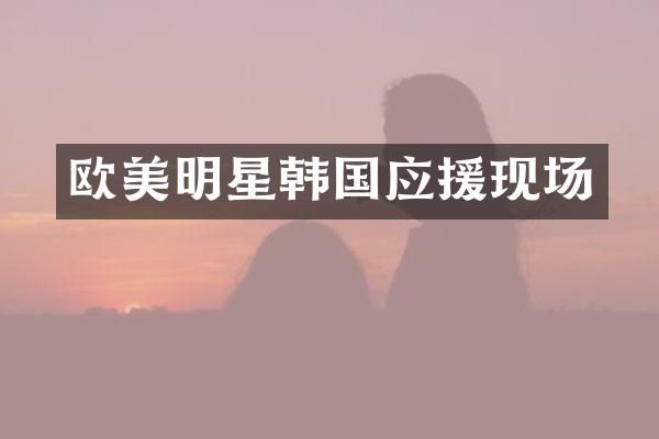欧美明星韩国应援现场