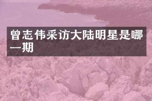 曾志伟采访大陆明星是哪一期
