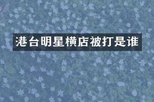 港台明星横店被打是谁
