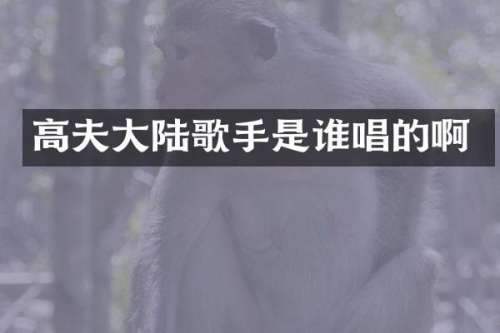 高夫大陆歌手是谁唱的啊